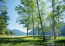 城市綠化管理 從草坪圖片到園林景觀設(shè)計施工圖紙全方位解析