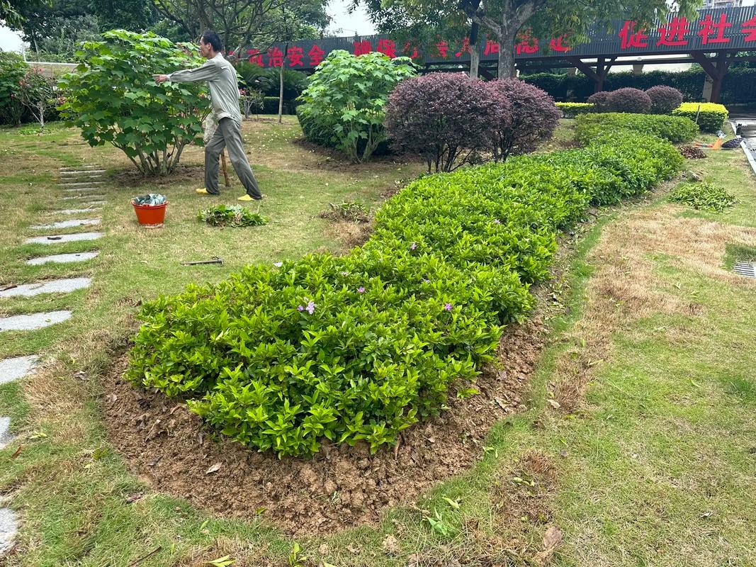 深耕園林養(yǎng)護(hù)與苗木產(chǎn)業(yè)，共筑城市綠色生態(tài)未來