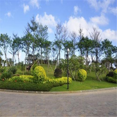 東城園林景觀綠化施工隊 專業打造生態宜居環境