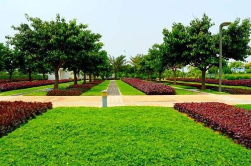 城市綠化工程中需報驗的關鍵材料與規(guī)范流程