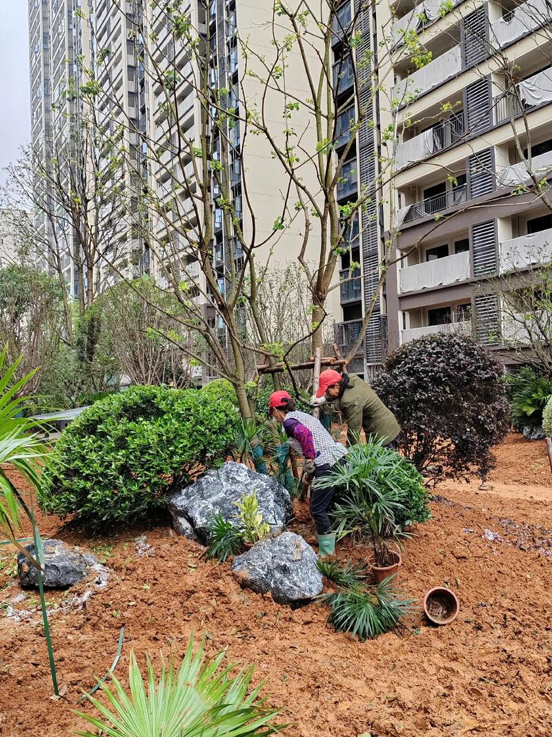 園林綠化工程 從設(shè)計到施工，打造宜居小區(qū)景觀